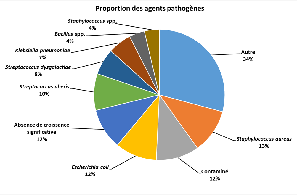 Proportion des agents pathogènes retrouvés dans 1504 échantillons de lait analysé par le CDEVQ lors de diagnostic de mammite clinique (2017-2020)