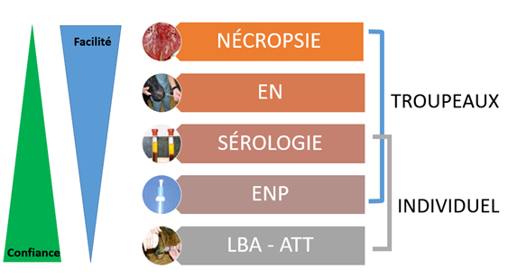 Résumé des tests pour un diagnostic respiratoire