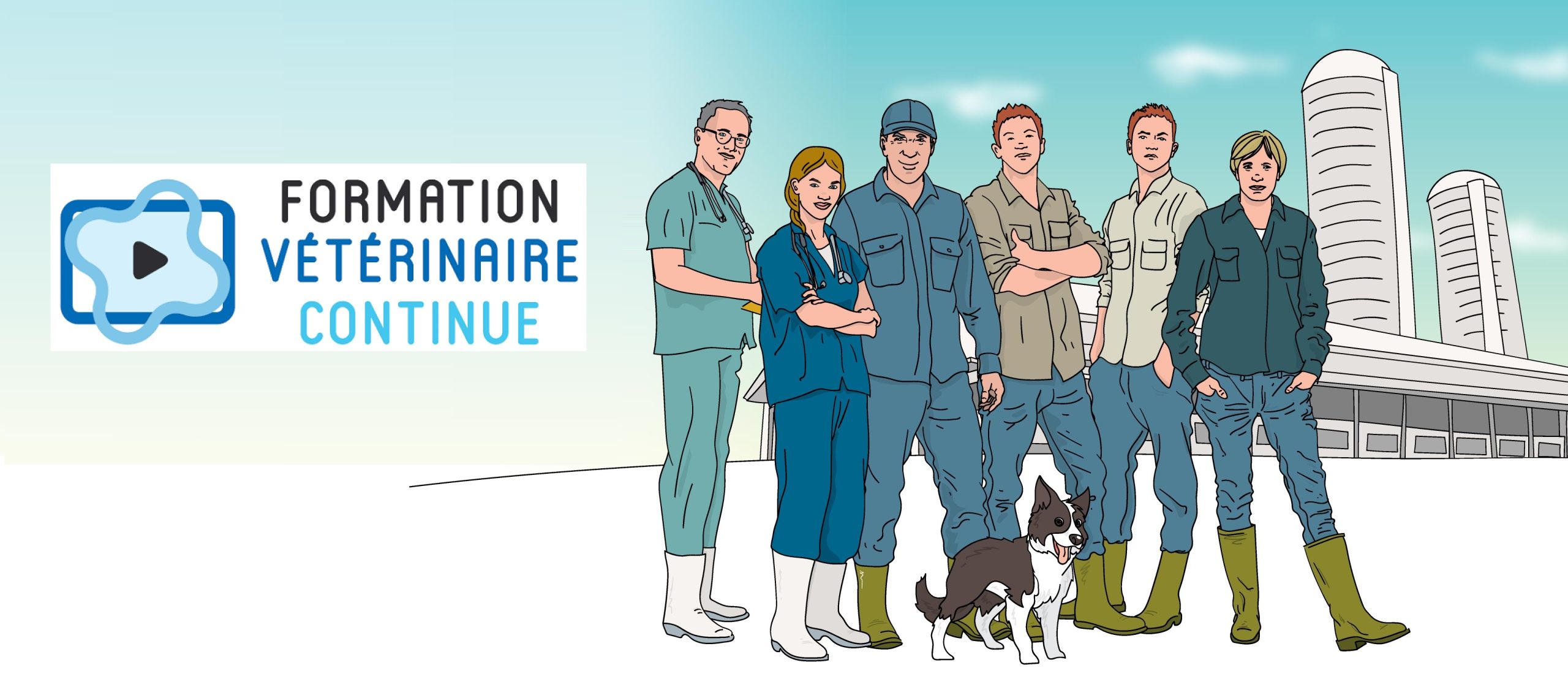 Ressources disponibles sur le site de la formation continue de la FMV